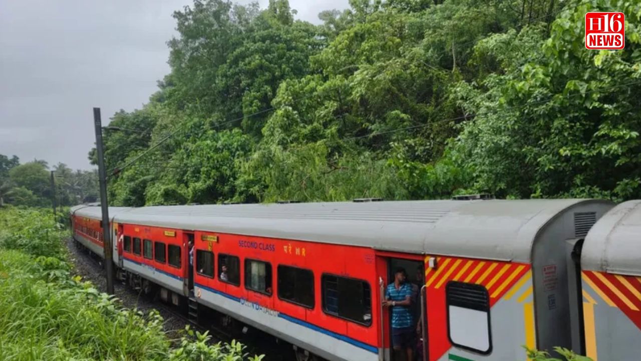 Kerala rain fury: Red alert in north, central regions, holiday declared